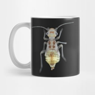 Barklouse (Psocidae)under the microscope Mug